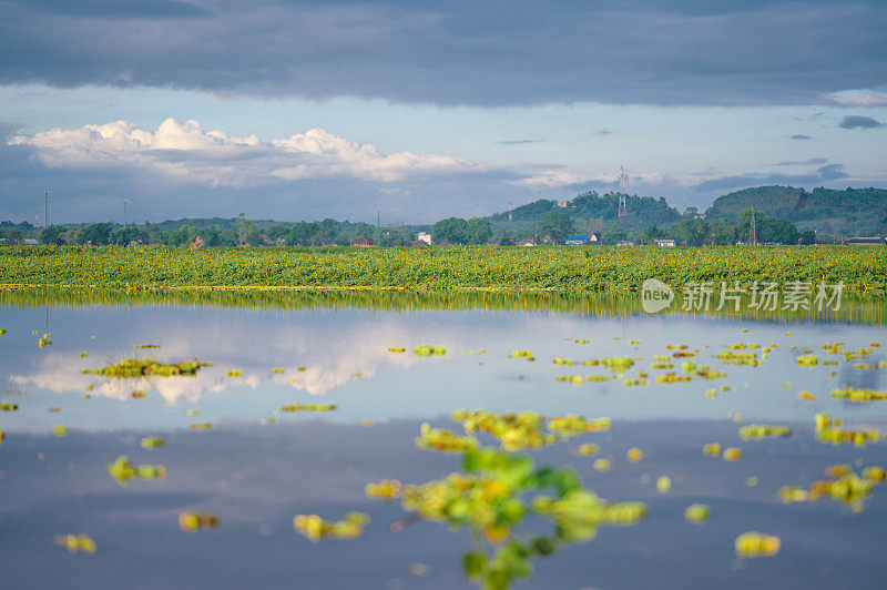 patthalung的Thale Noi湖令人惊叹的热带湖泊风景